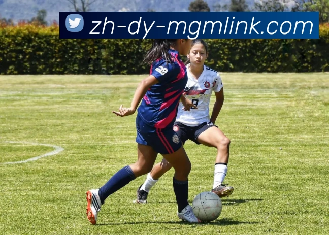 mgm集团官网平台生态图