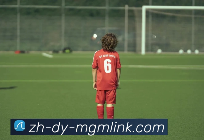 mgm集团官网全站App